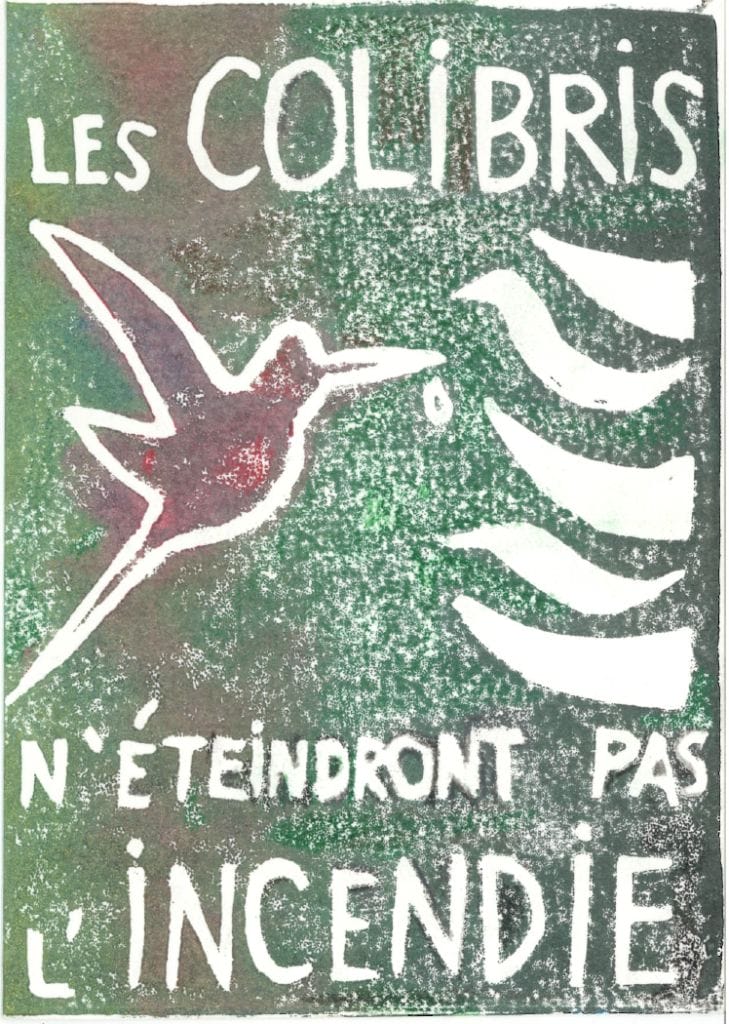 illu publi colibri illu publi colibri
