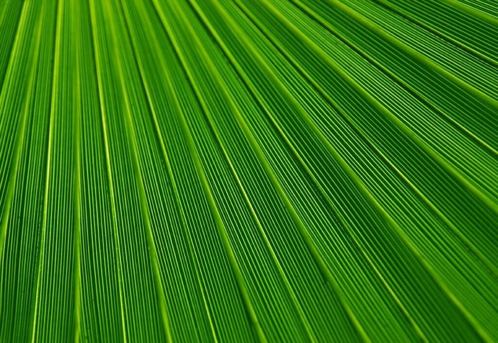 Analyse1_nature Analyse1_nature