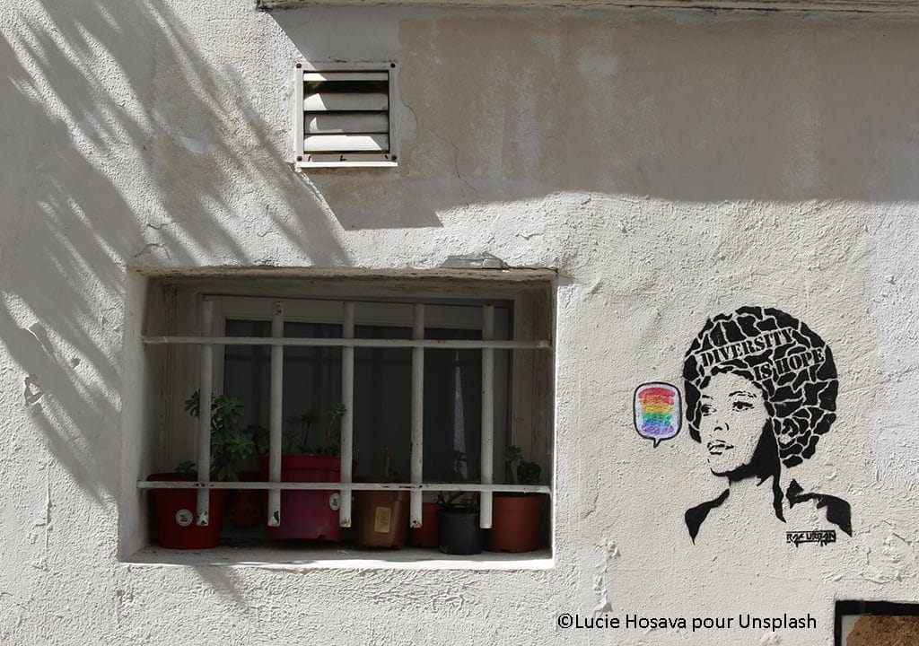 AnalyseDiversité_lucie-hosova-unsplash_SITEok Illustration Analyse Diversité 2024