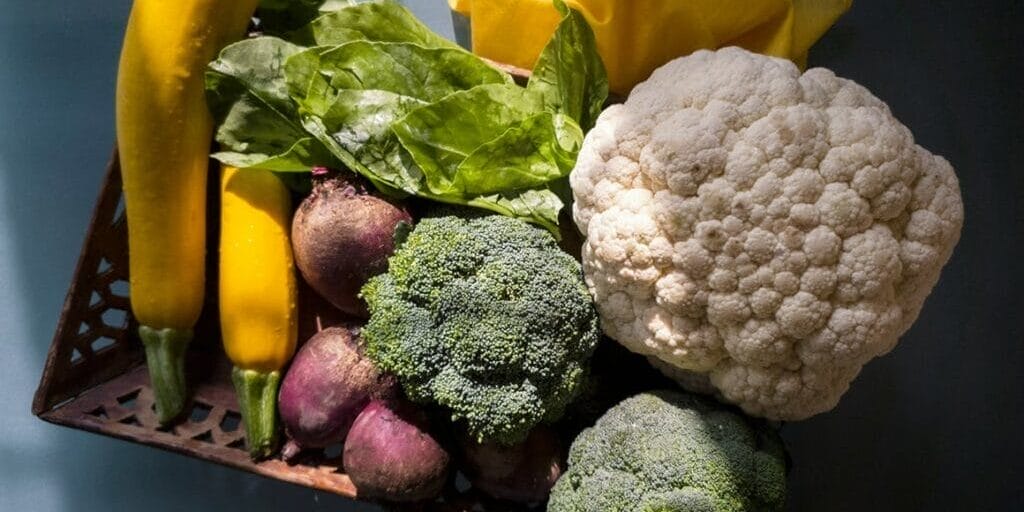 Agricovert